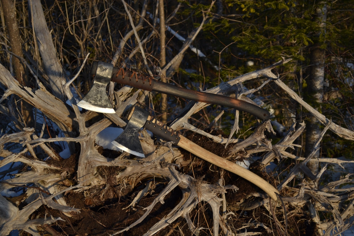 Two Taiga axes hanging on a root stump of a fallen over tree.