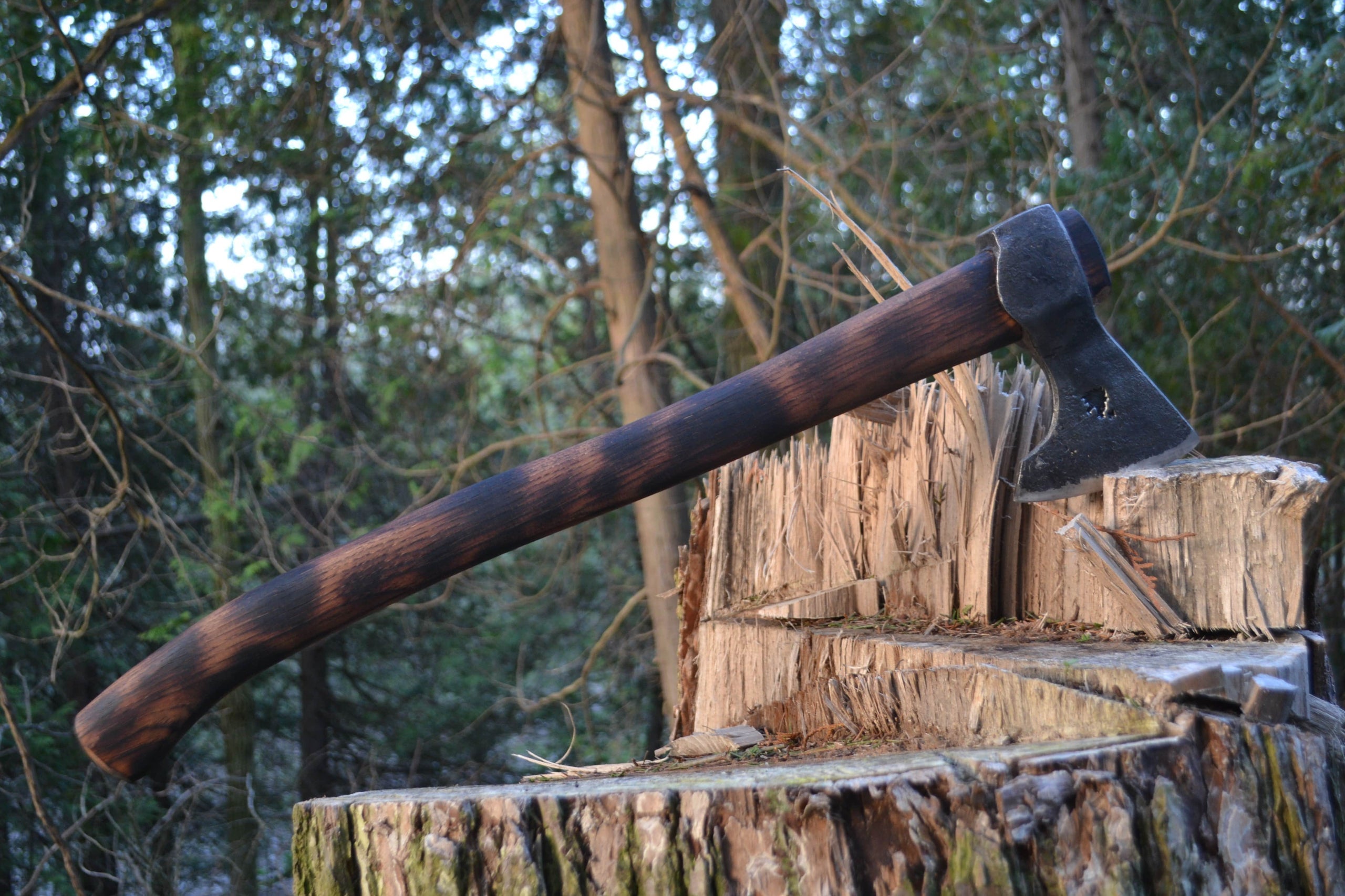 Taiga Wolverine axe for wilderness survival and traditional forest work in the stump of a tree