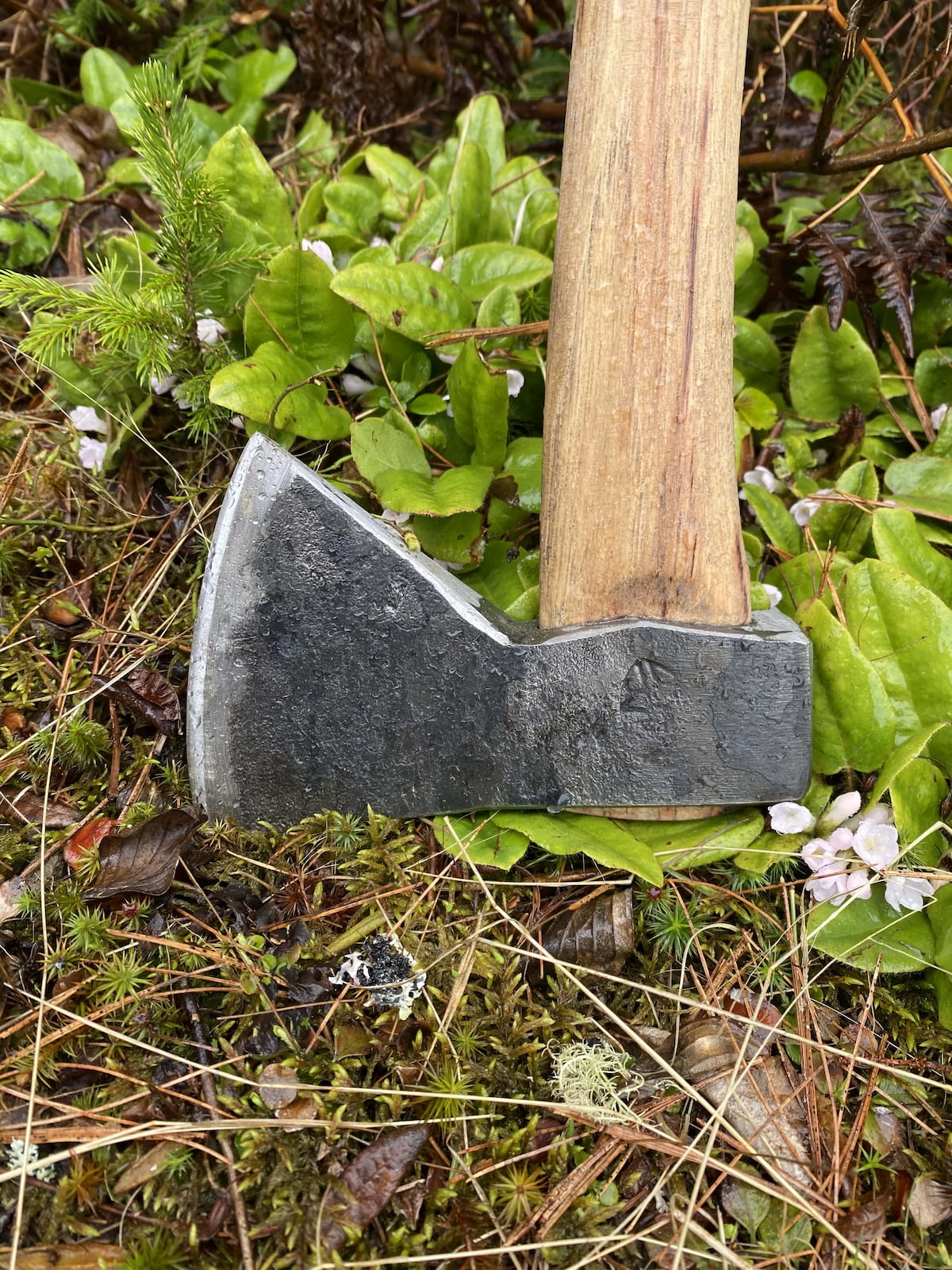 Premium steel Rockaway hatchet head showing wide bit geometry for superior cutting performance